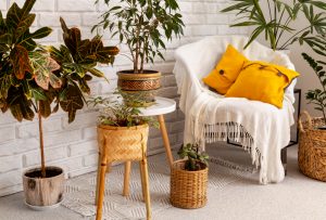 Conheça o conceito completo da decoração orgânica