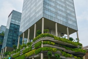 5 dicas para uma construção sustentável