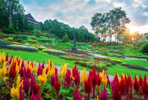 Jardim florido: inspirações e dicas para ter um em casa
