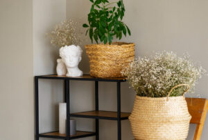 Decoração orgânica: harmonia e sustentabilidade para seu lar